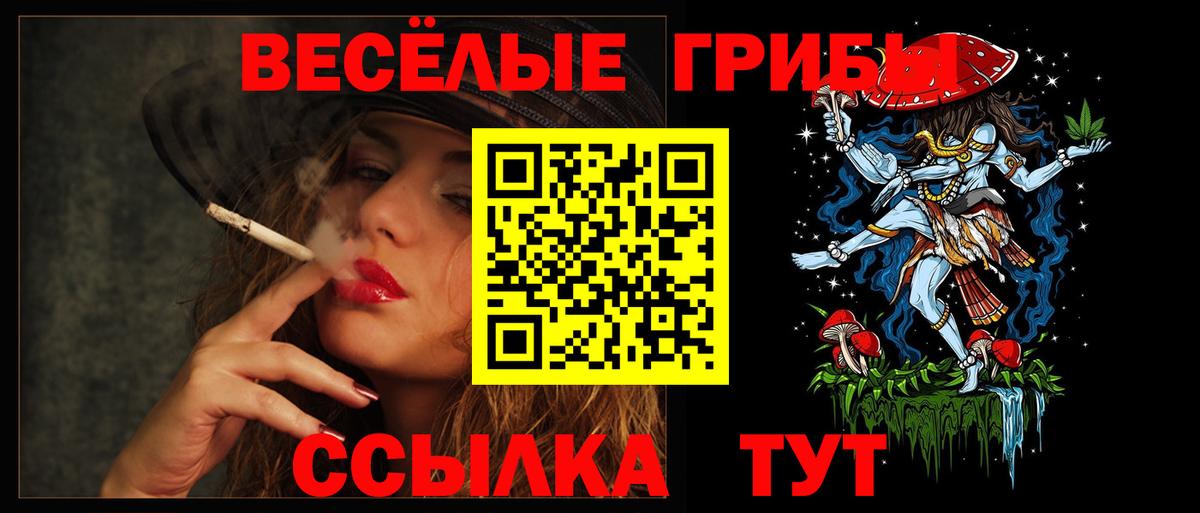 Ипатово  Псилоцибиновые грибы Cubensis  Псилоцибиновые грибы прущие грибы  Вход с VPN 