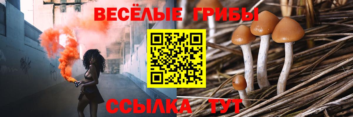 Галлюциногенные грибы прущие грибы Ипатово